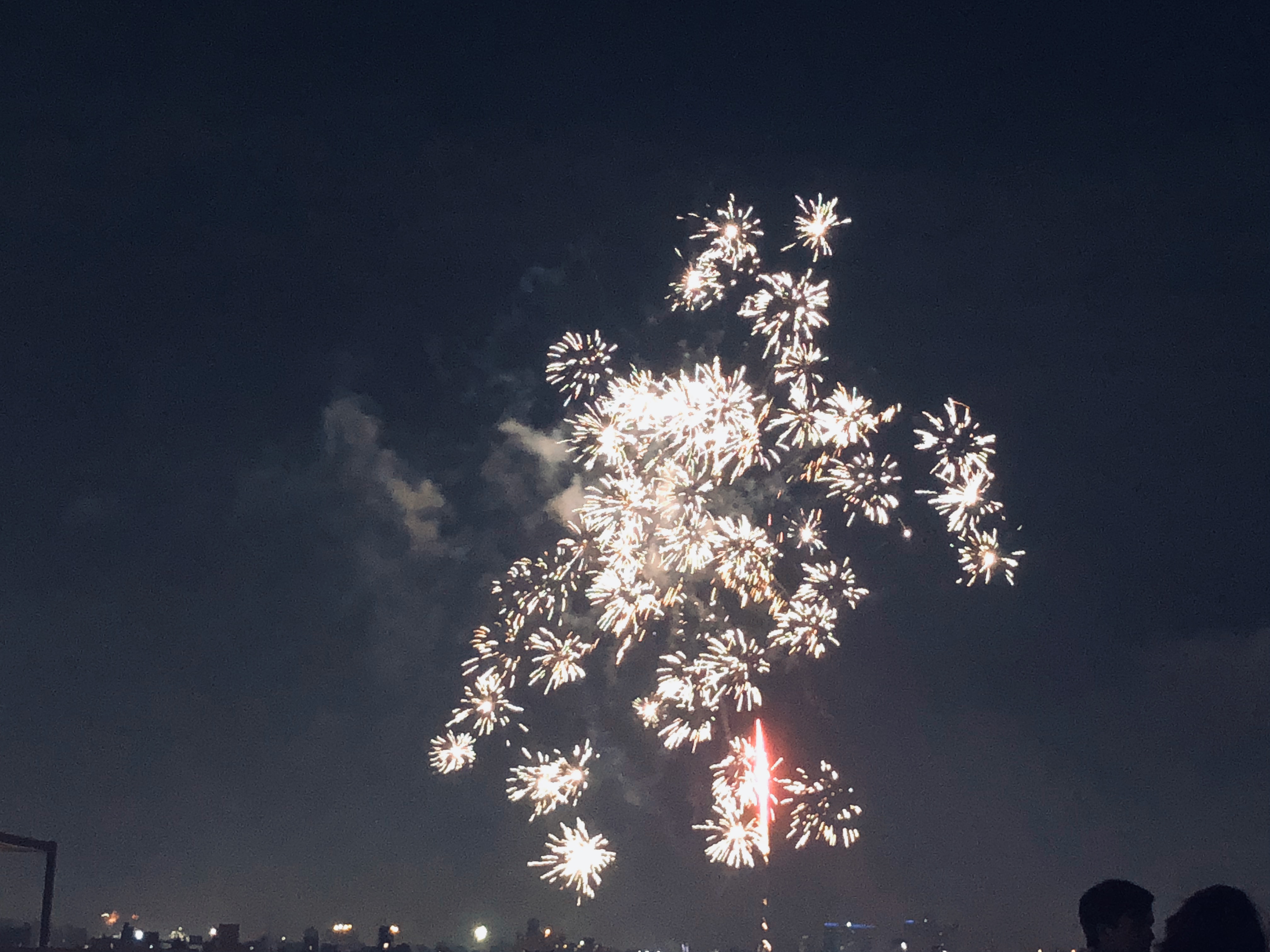 Fireworks in the sky