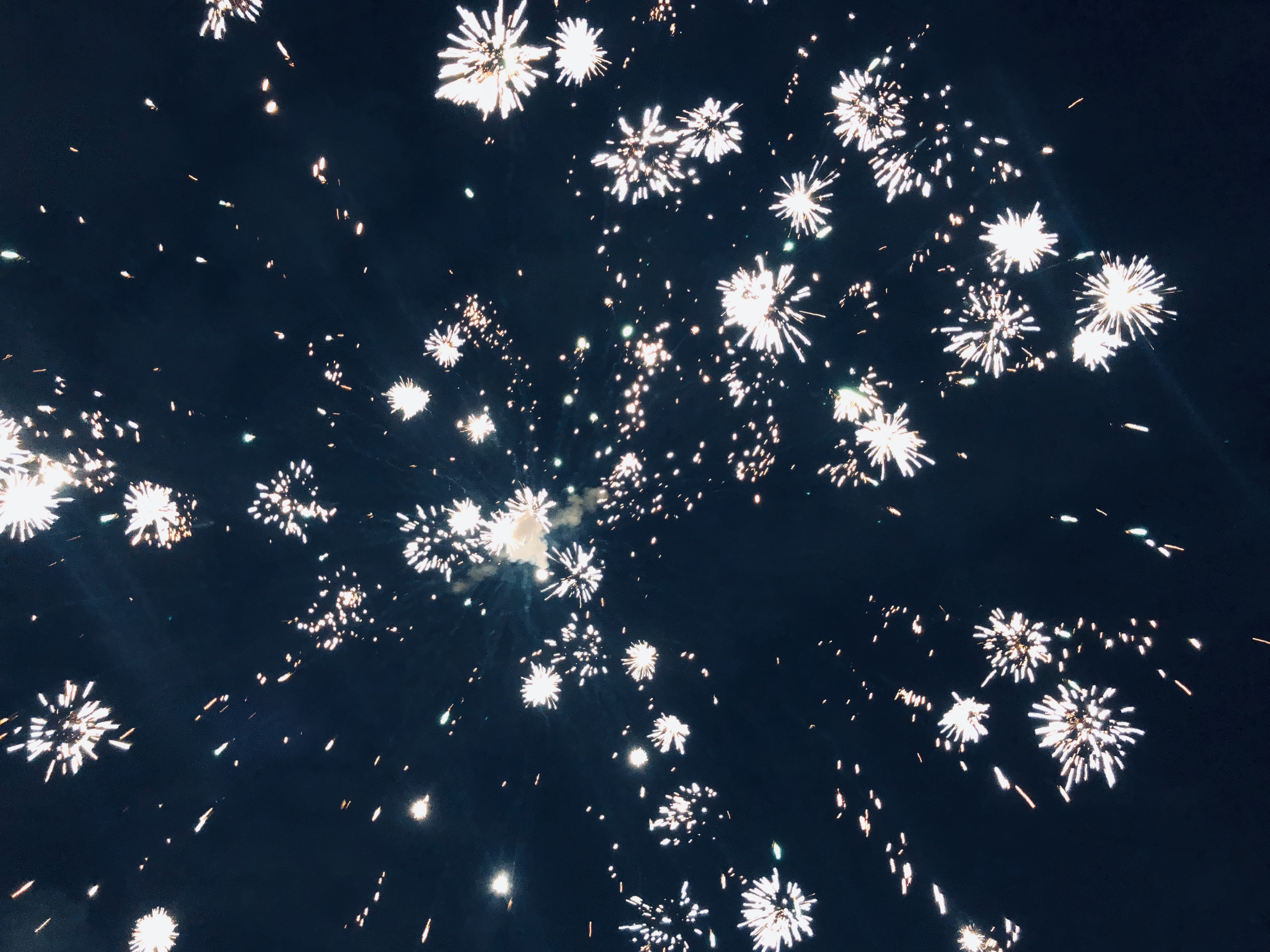 Fireworks in night sky