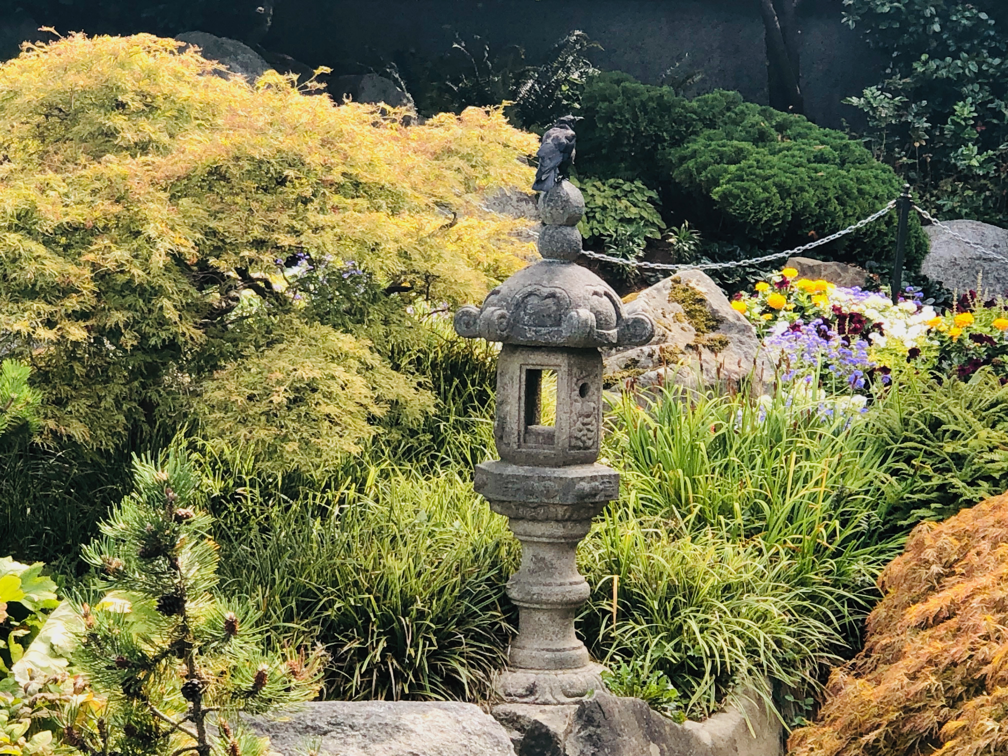 Raven on top of stone lantern in garden